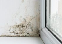 Mold in the corner of the plastic windows